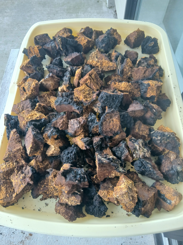 Chaga Mushroom Pieces - photo 3
