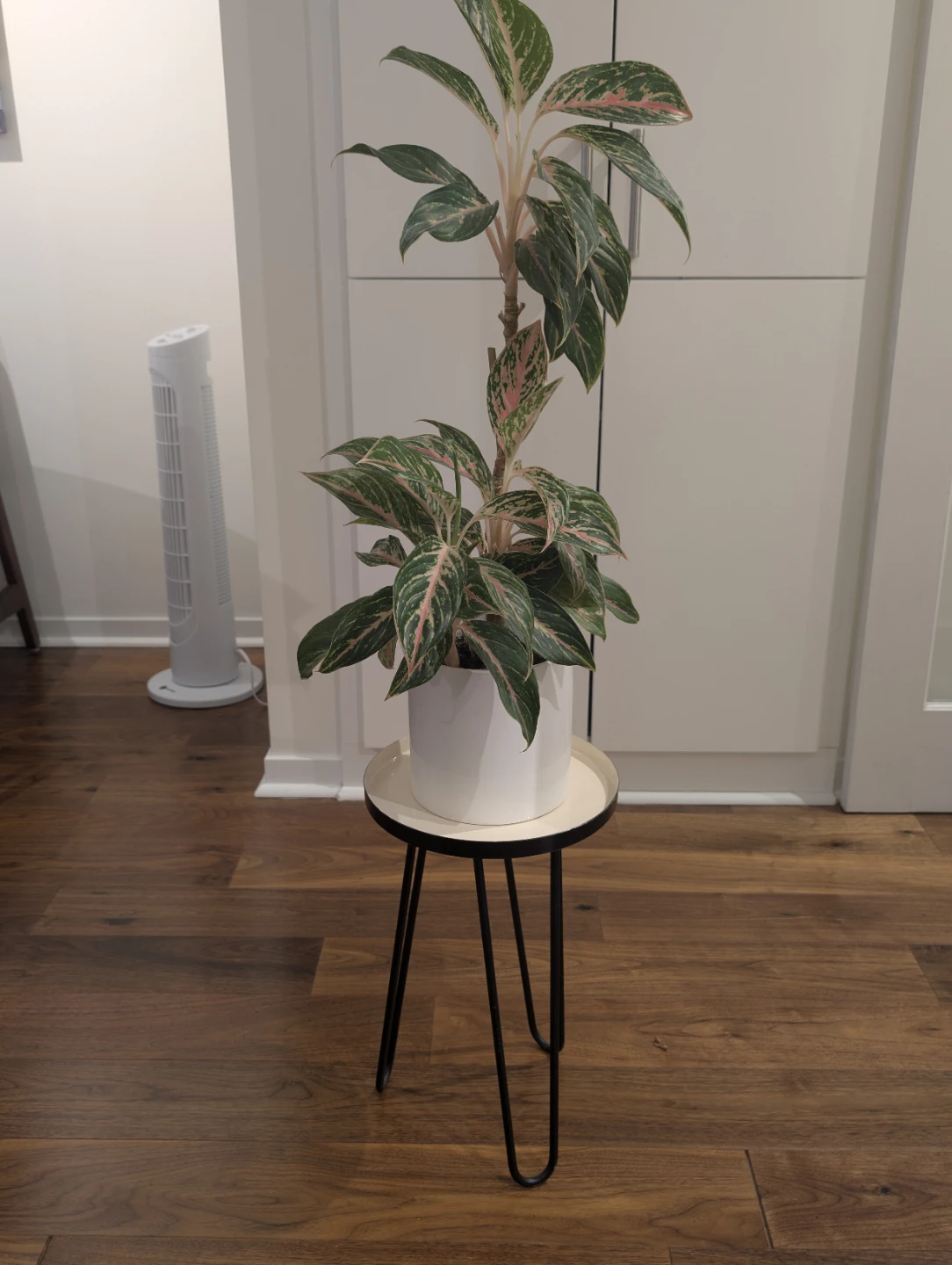 Mid-century metal modern plant stand - photo 2