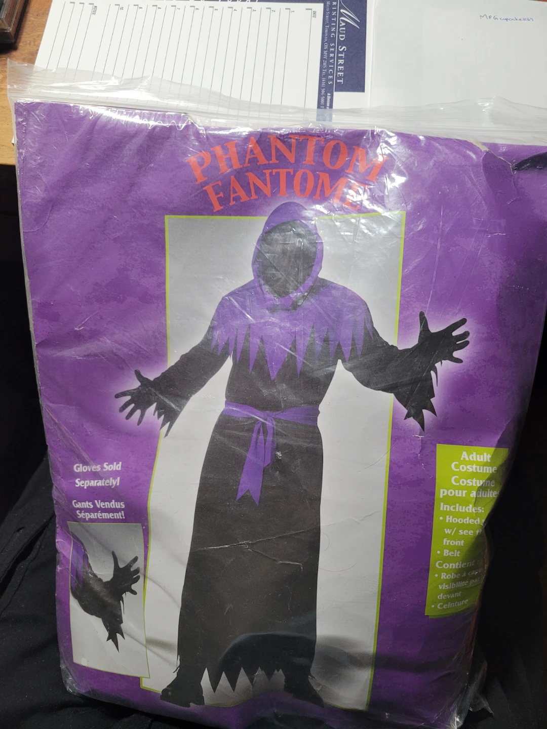 Halloween Costume