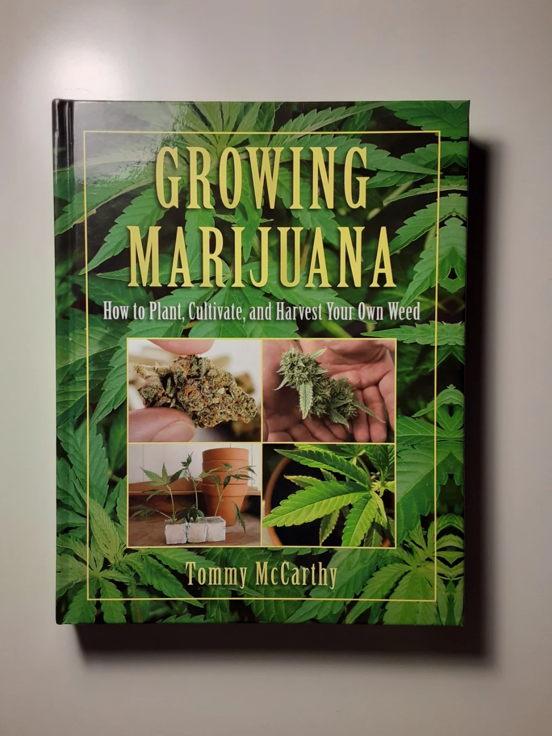 Growing Marijuana How to Plant, Cultivate, and Harvest