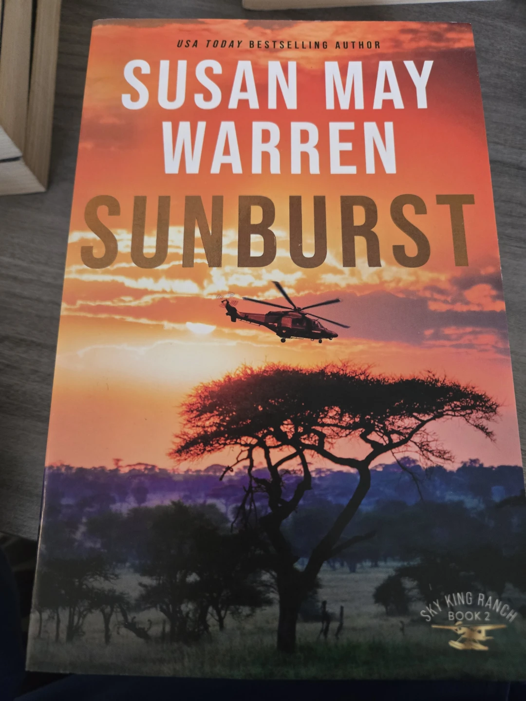 Susan May Warren (Sky King Ranch Books 1-3) - photo 3