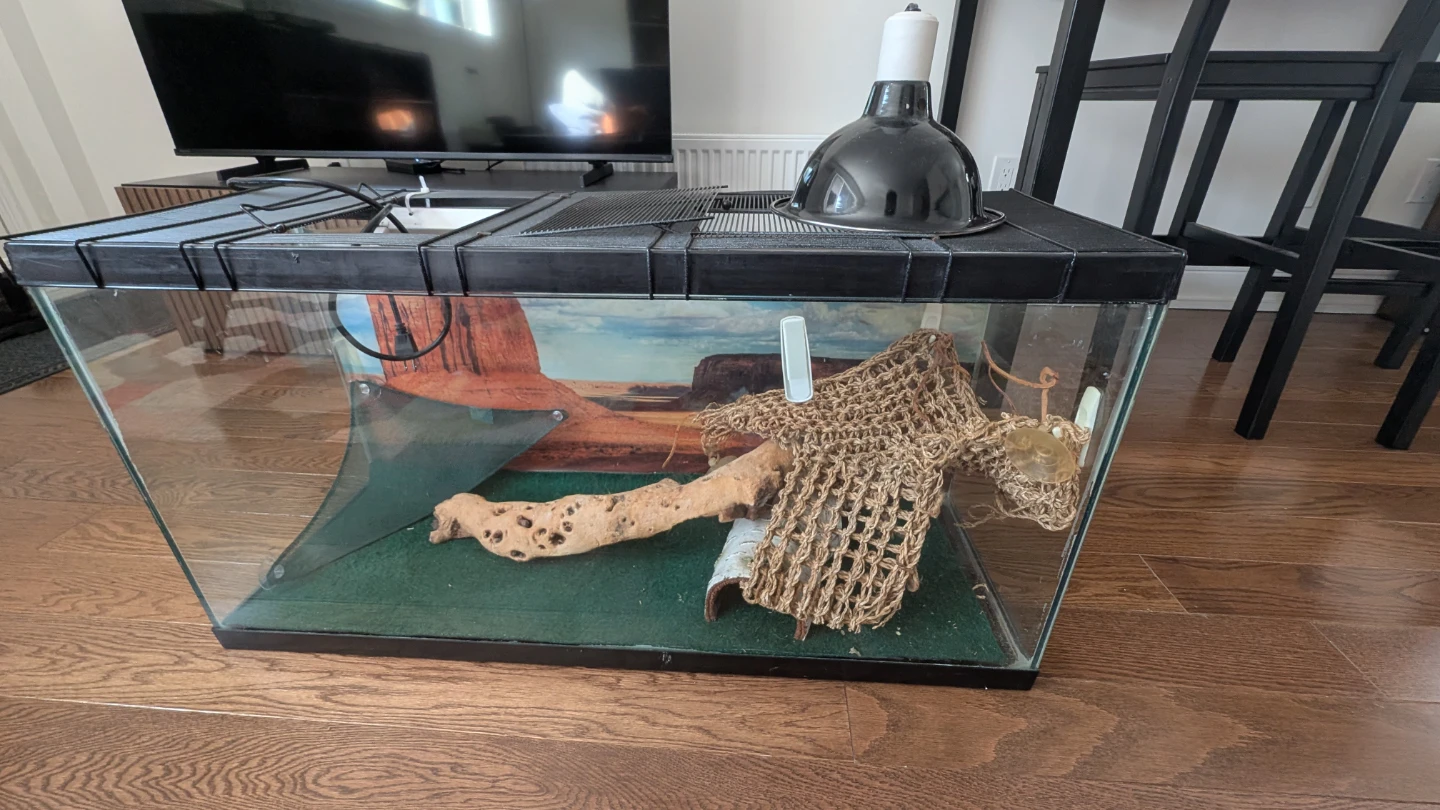 35 Gallon Reptile Tank with Accessories - photo 2