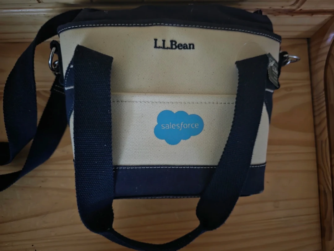 LL Bean Nor'easter Insulated Tote, Small