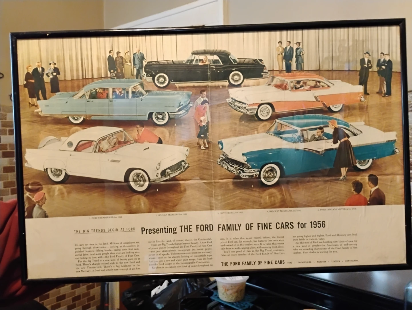 1956 Ford Family of Fine Cars Vintage Print