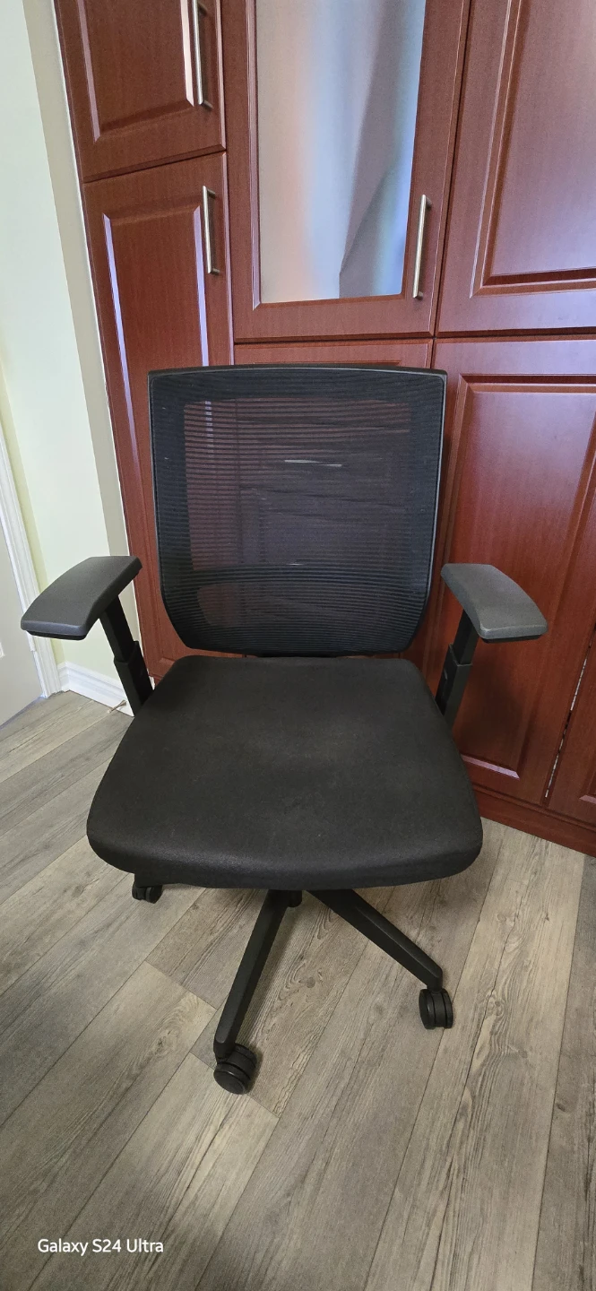 Black Mesh Office Chair with Adjustable Arms