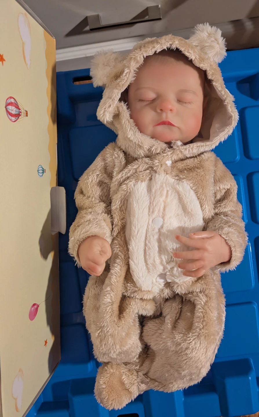 Reborn Baby Doll with Accessories
