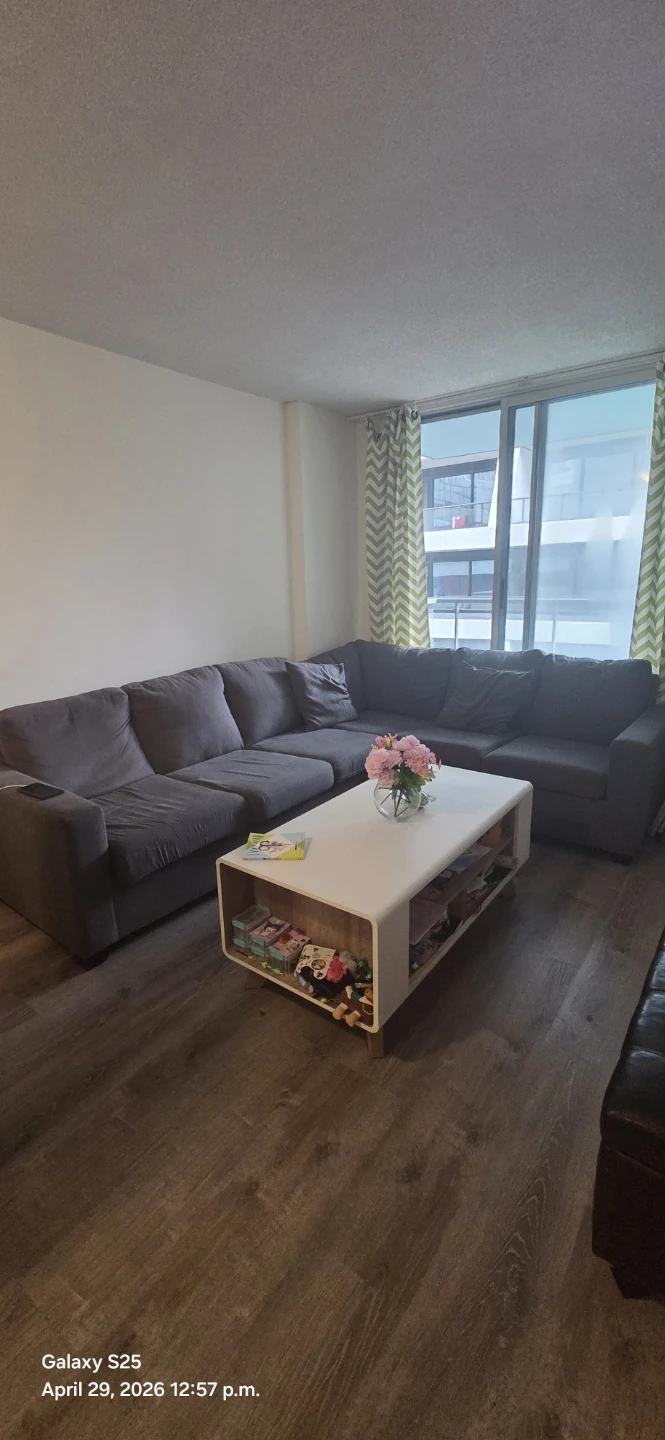 Dark Grey Sectional Sofa - photo 3