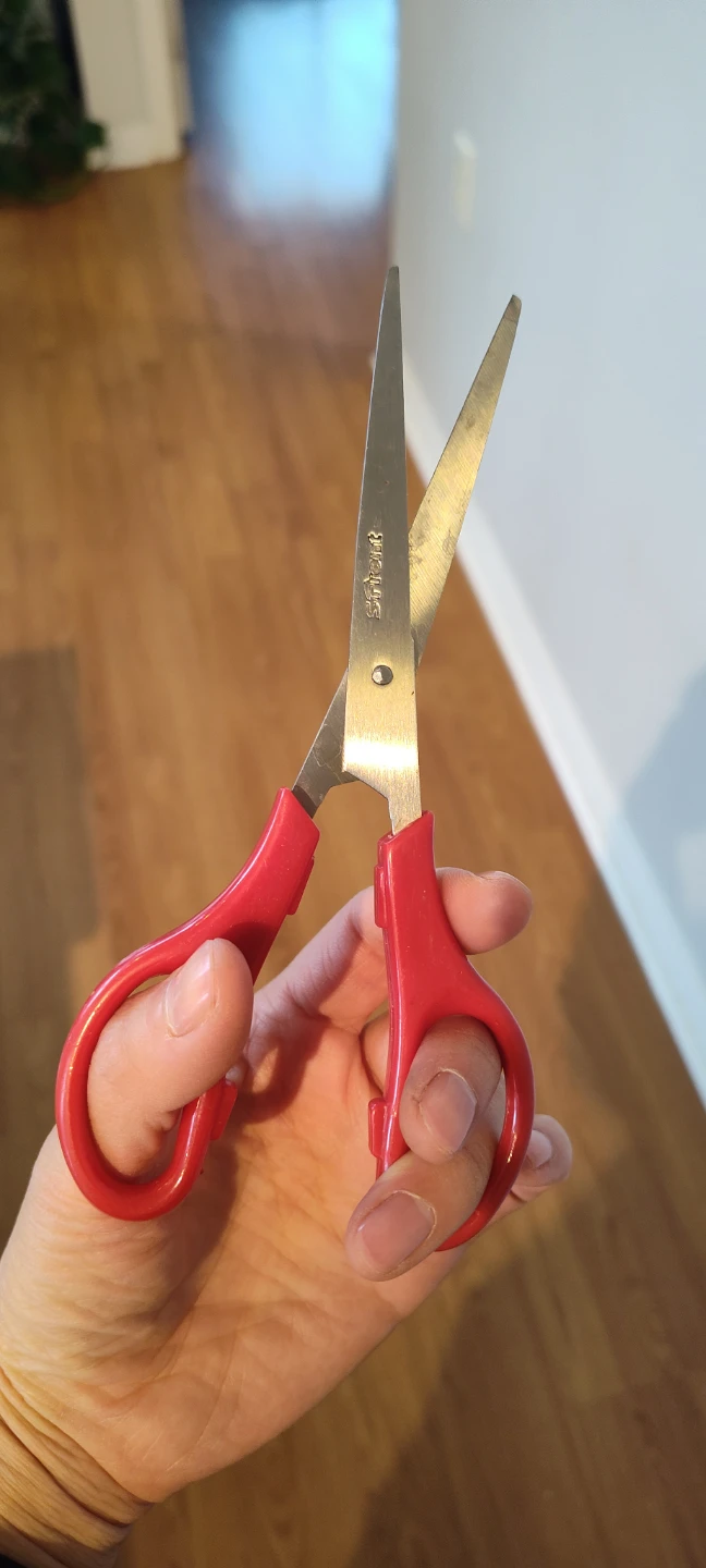 Red Handle Scissors