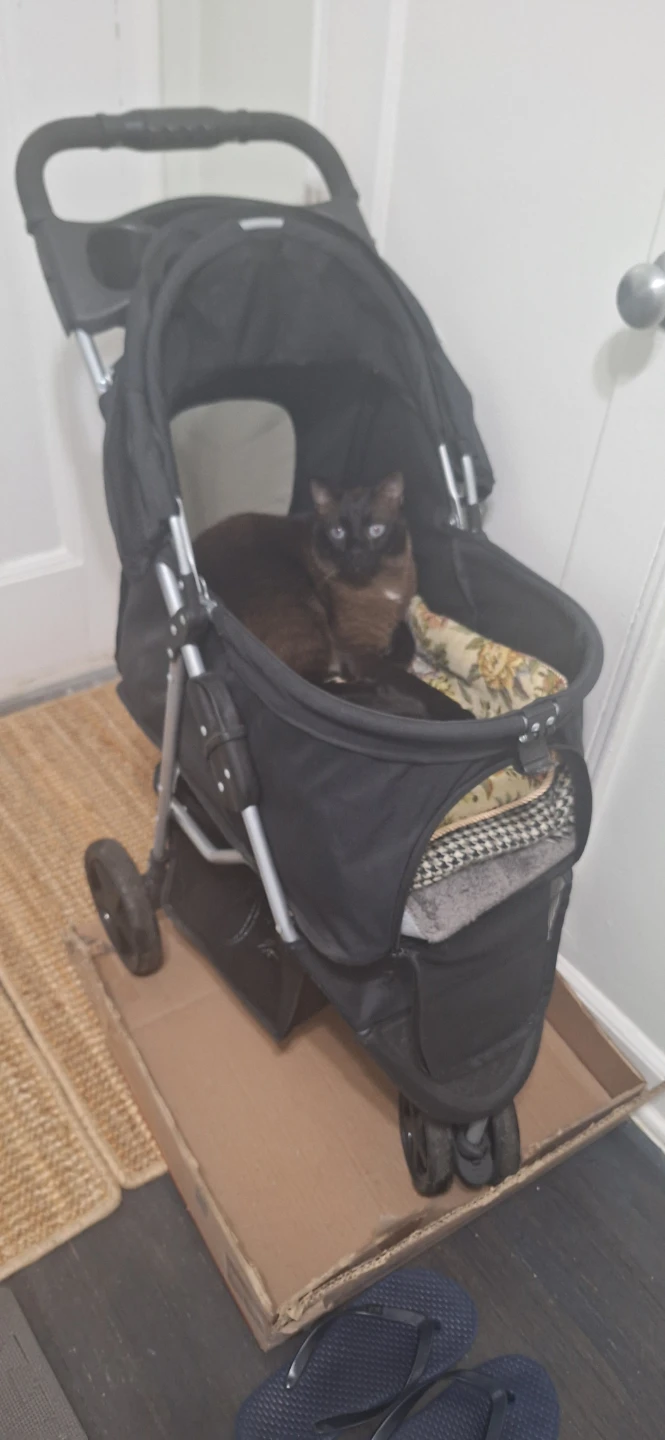 Black Pet Stroller