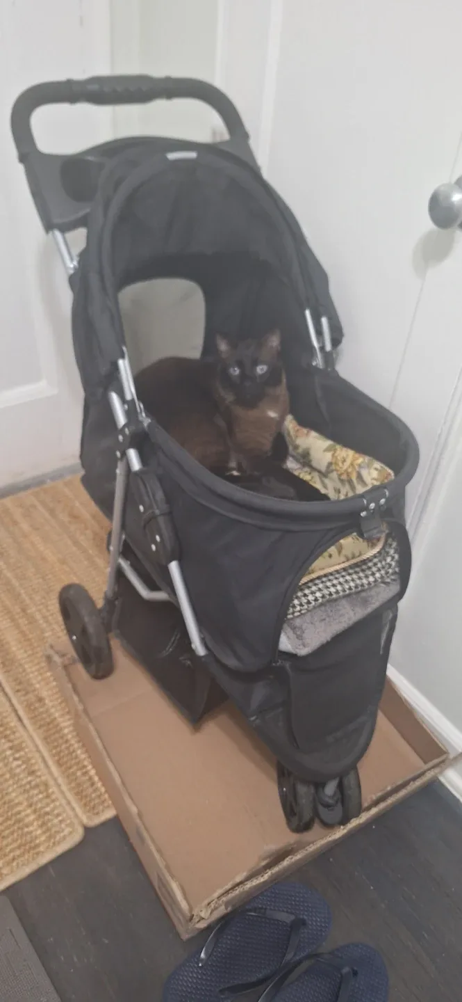 Black Pet Stroller