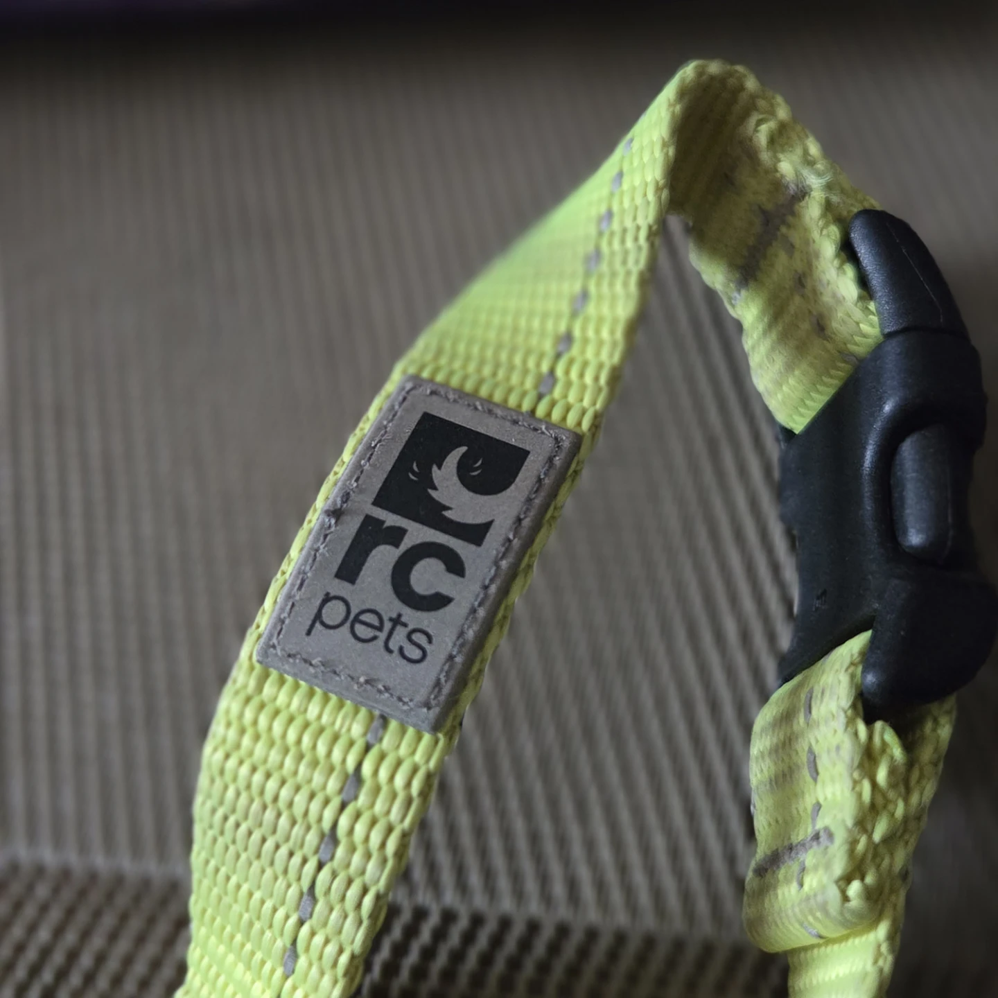 RC PETS Dog Collar