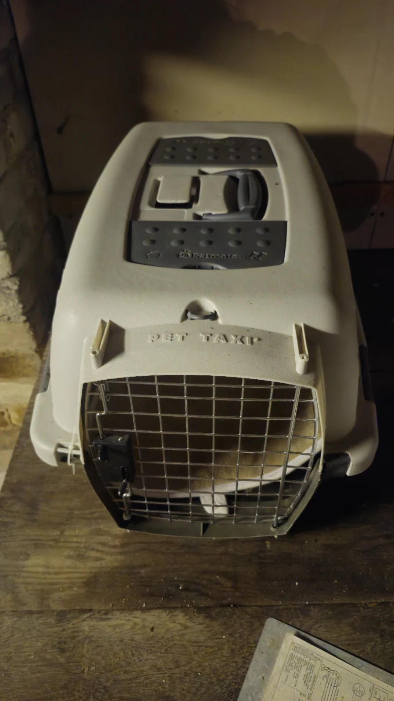Pet Taxi Pet Carrier