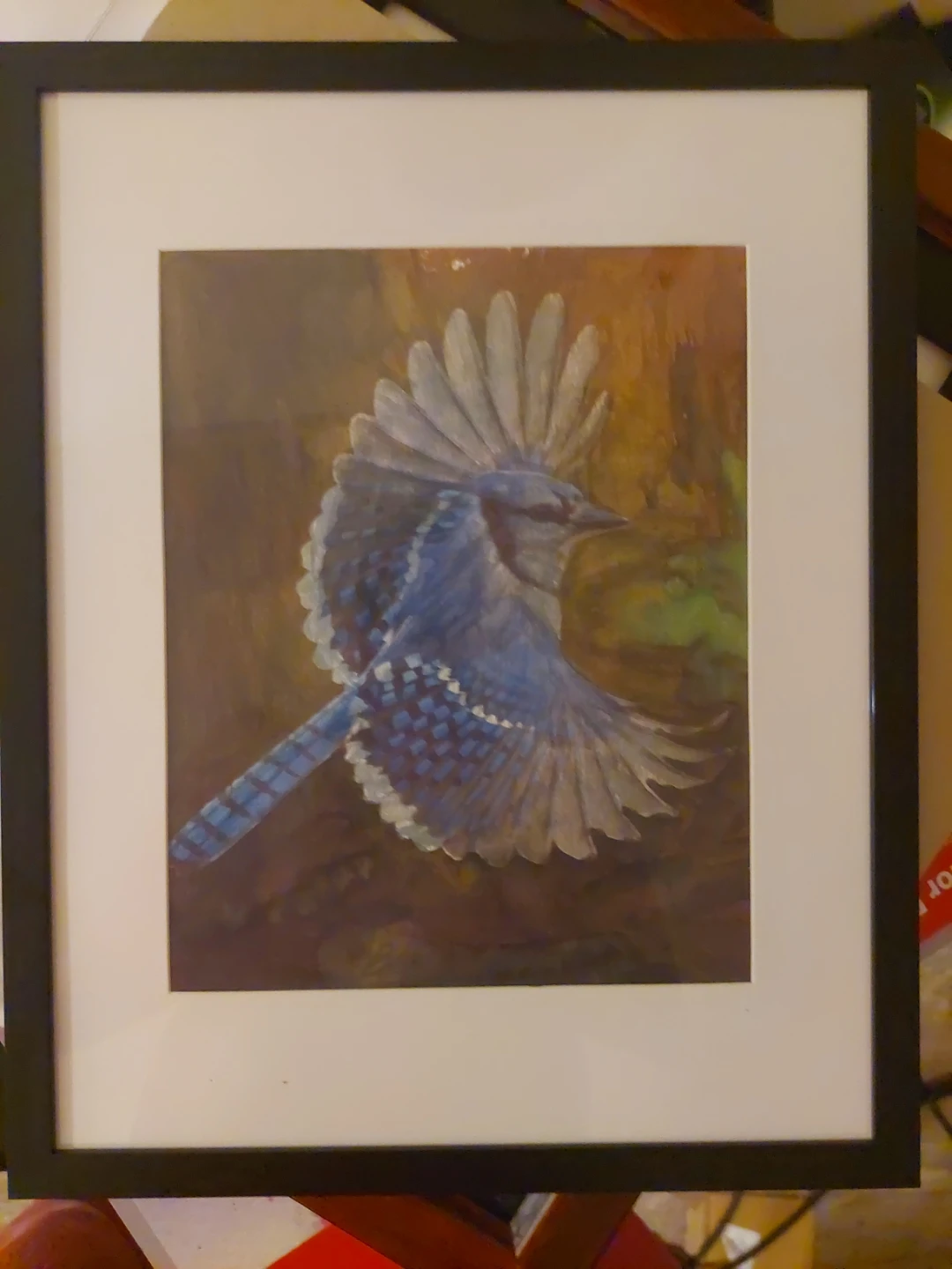 Framed Artwork - Koala, Owl, Blue Jay & Cityscape Prints