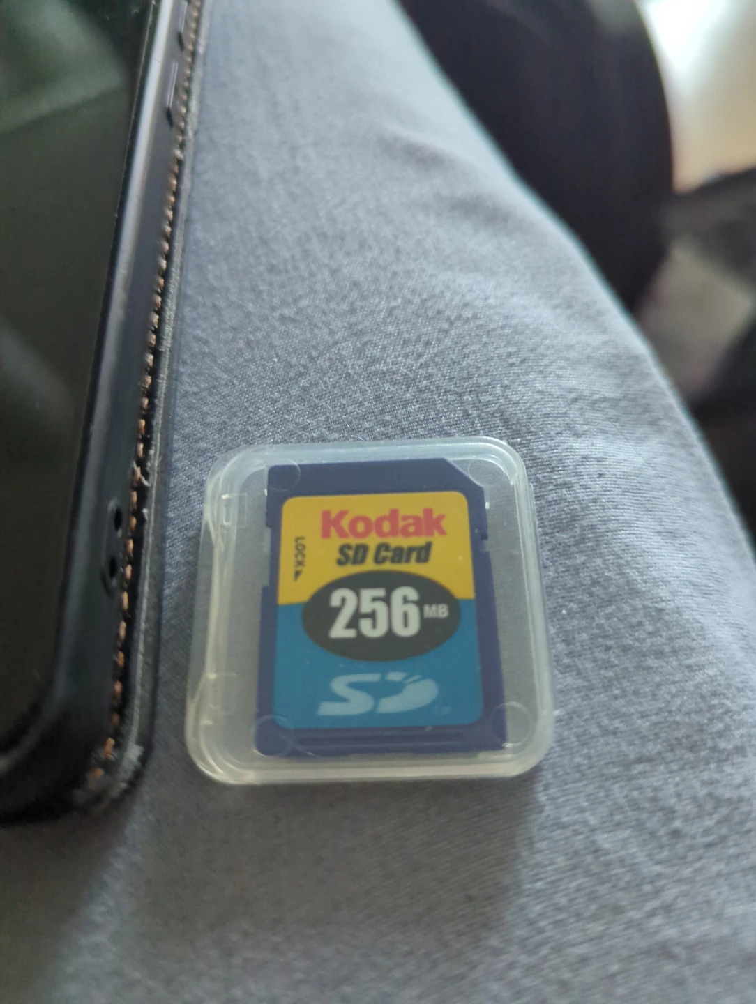 Kodak 256 MB SD Card