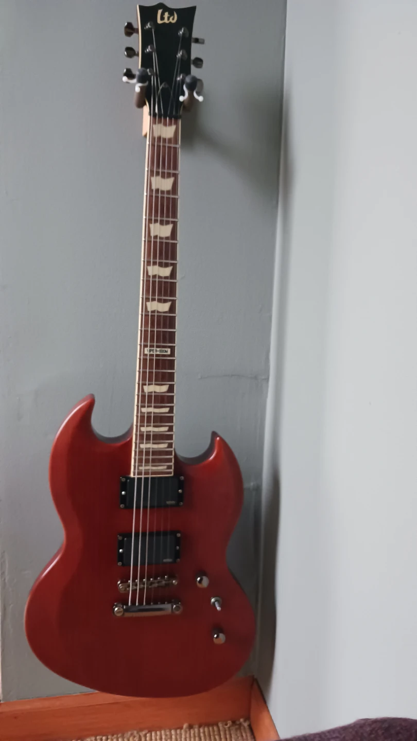 LTD Guitar - photo 4