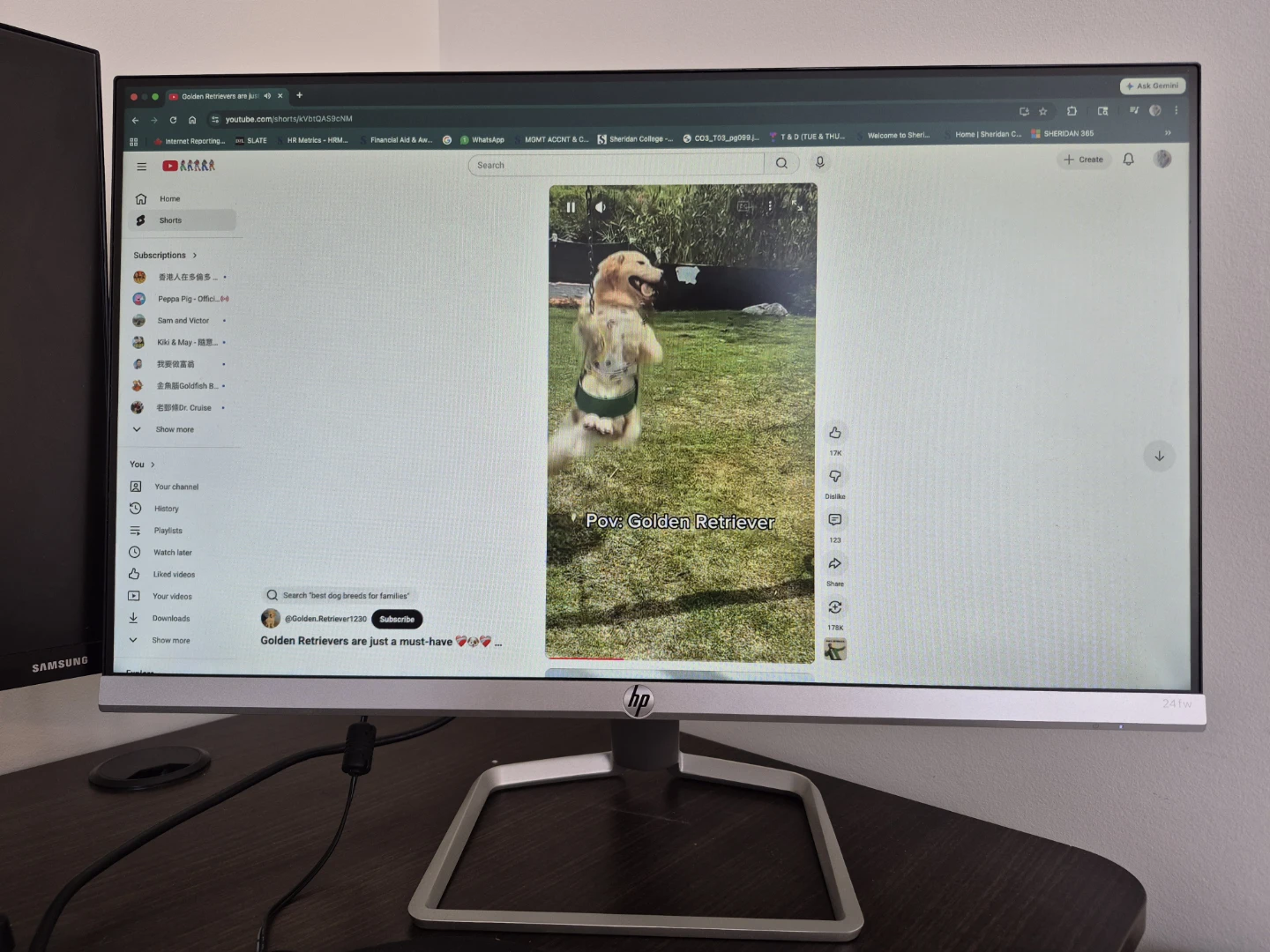HP 24fw 23.8-inch FHD Monitor