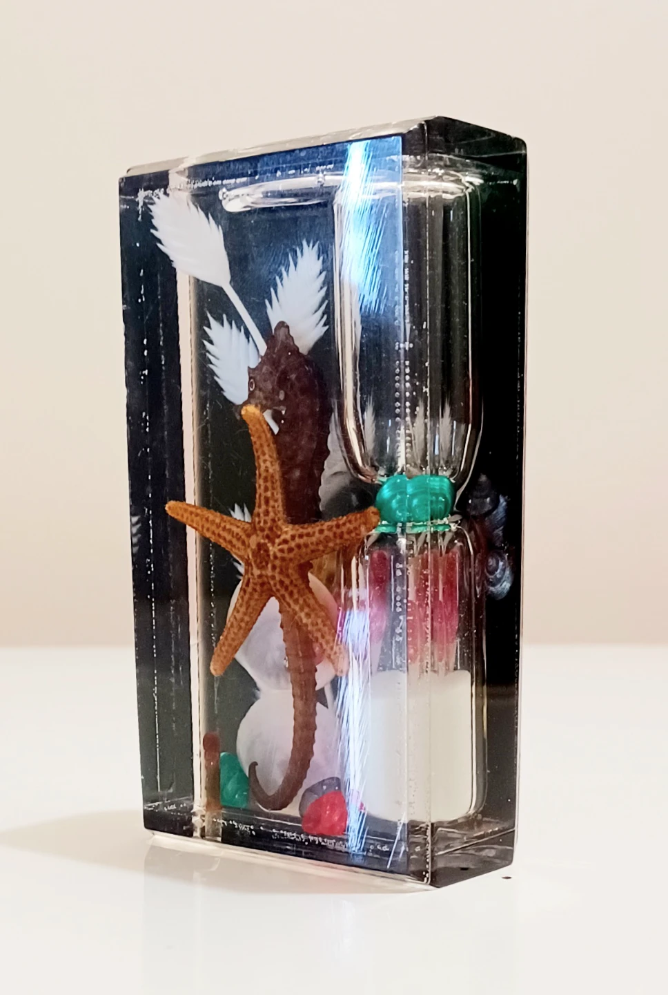 Seashell Display Hourglass - photo 2