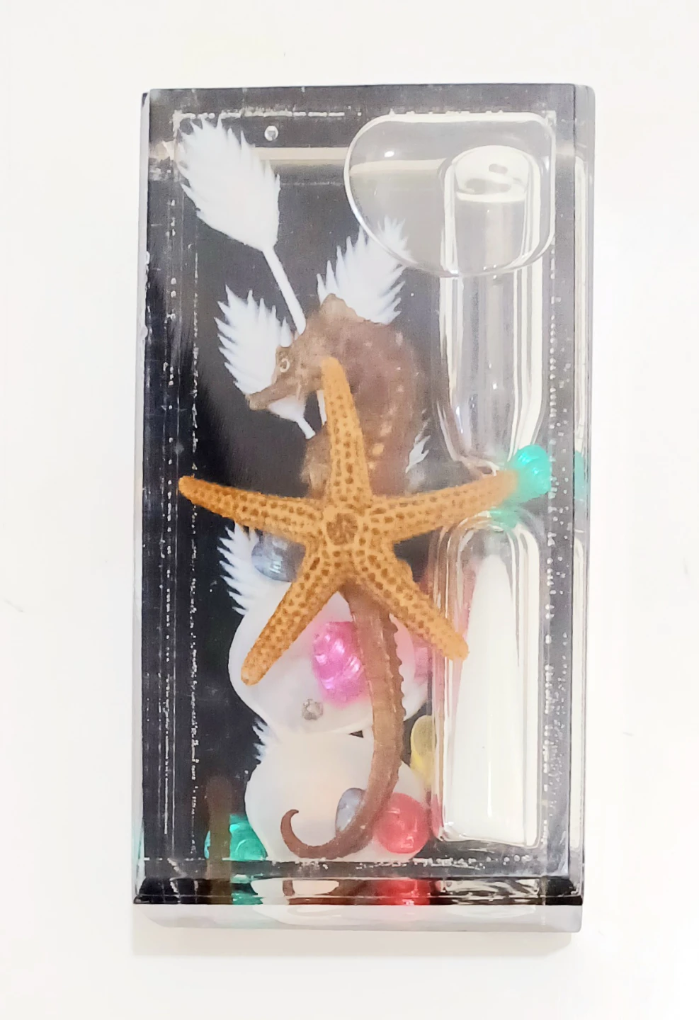 Seashell Display Hourglass - photo 3