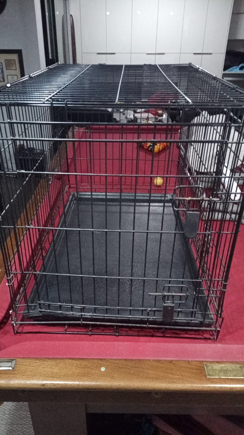 Folding Metal Dog Crate with Tray 25 x 22 x 35