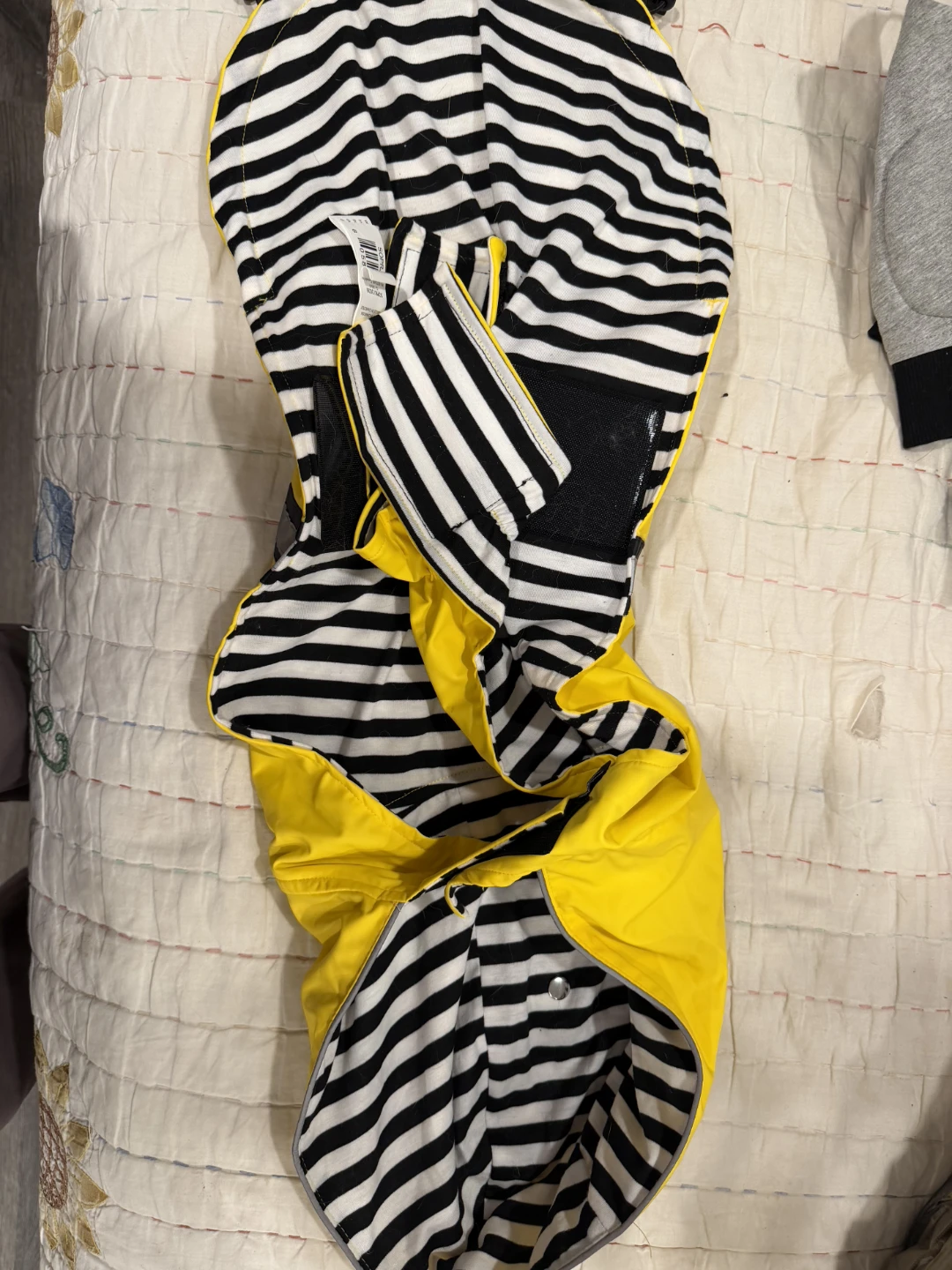 Dog's Bee Costume Vest