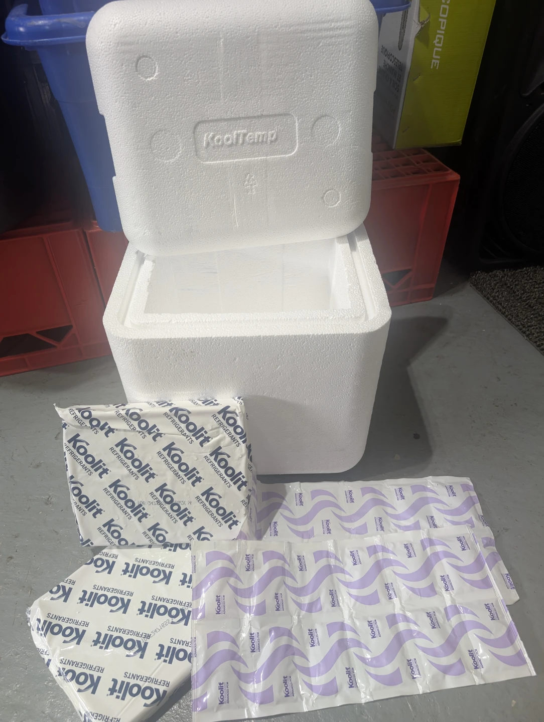 EUC - KoolTemp Styrofoam Cooler with Reusable Ice Packs