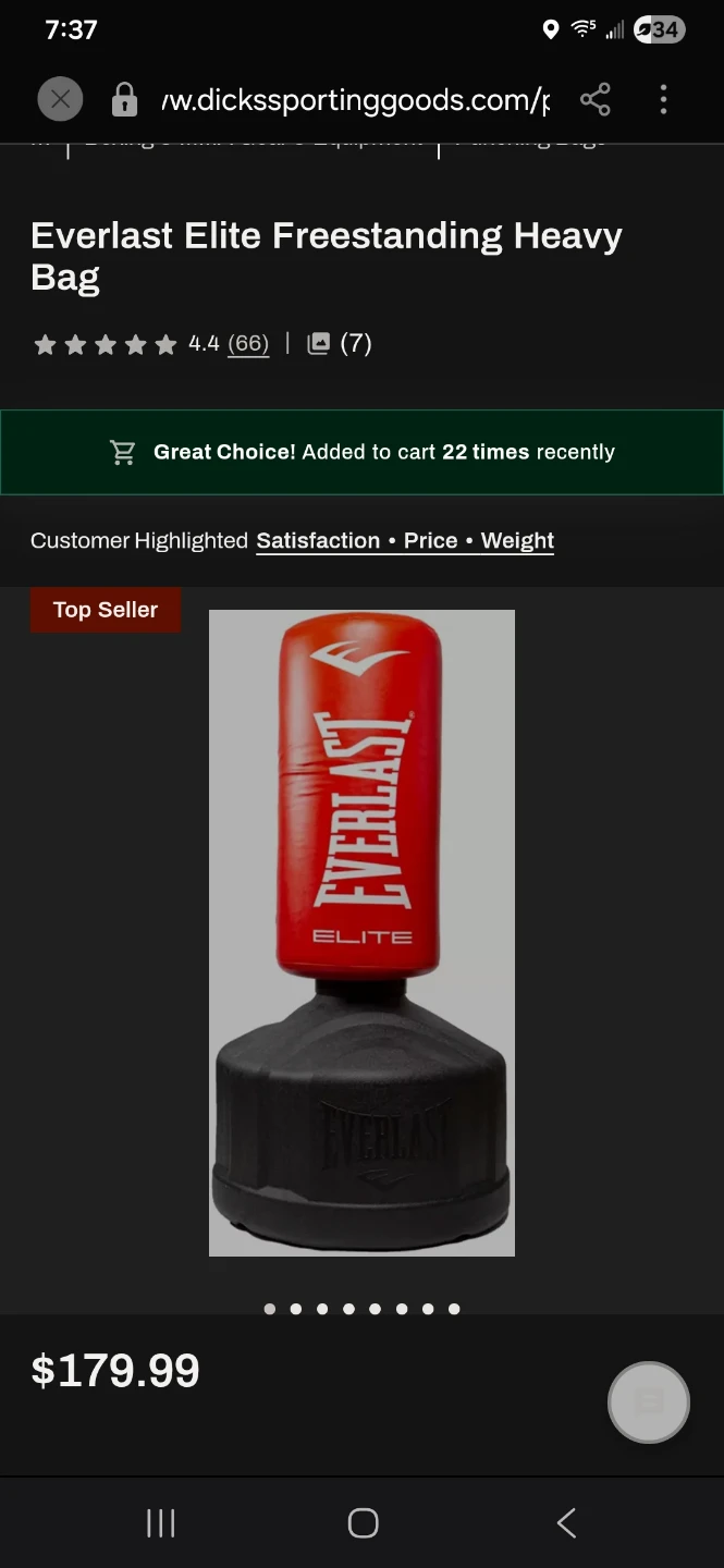 Everlast Elite Freestanding Heavy Bag