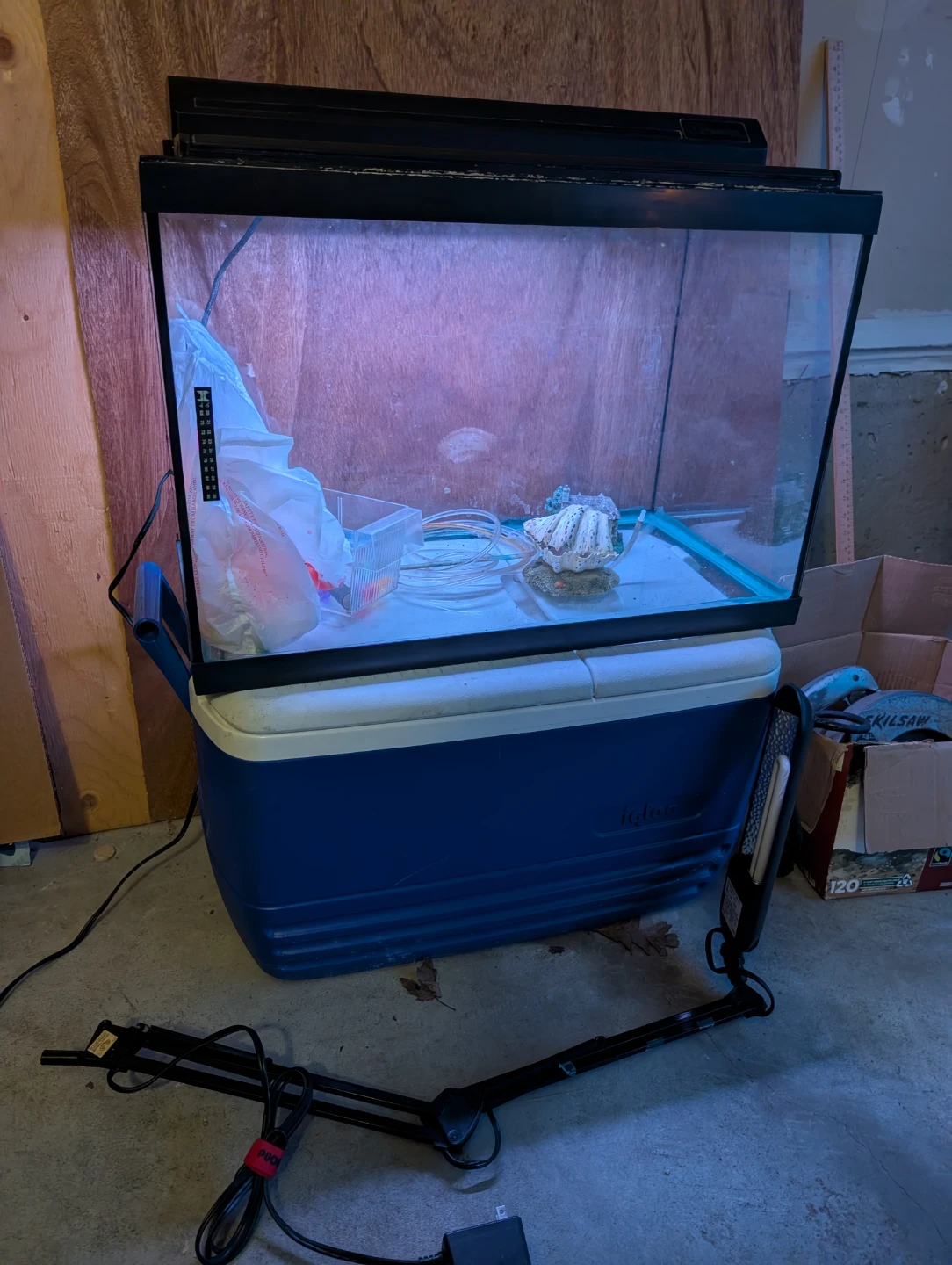 20 gallons Aquarium Tank with Accessories