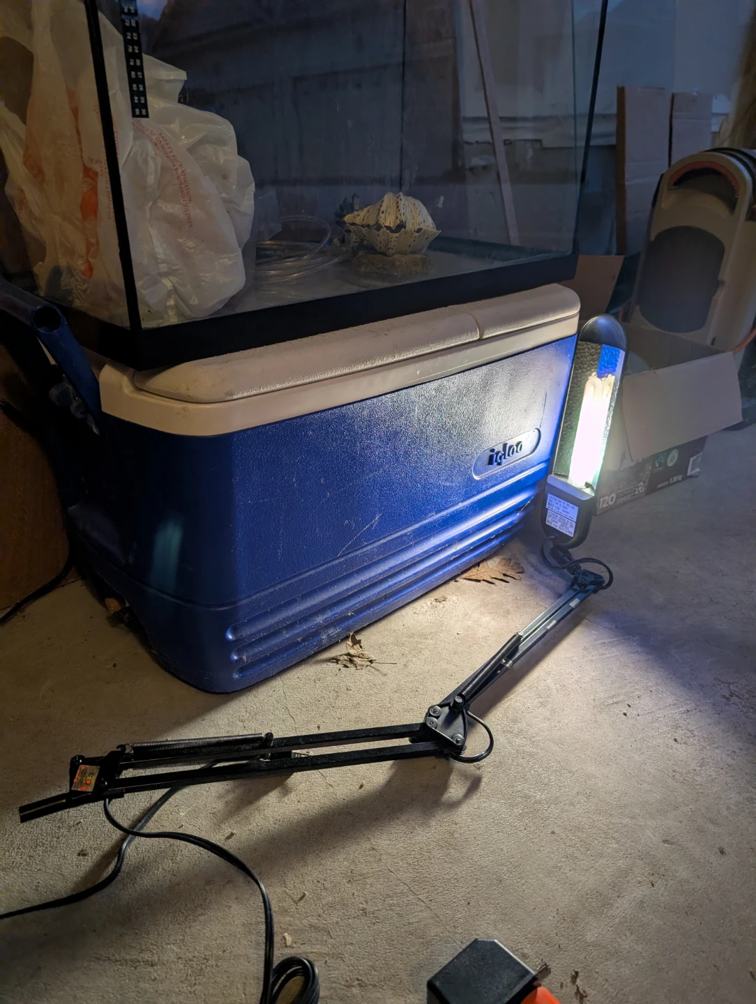20 gallons Aquarium Tank with Accessories - photo 2