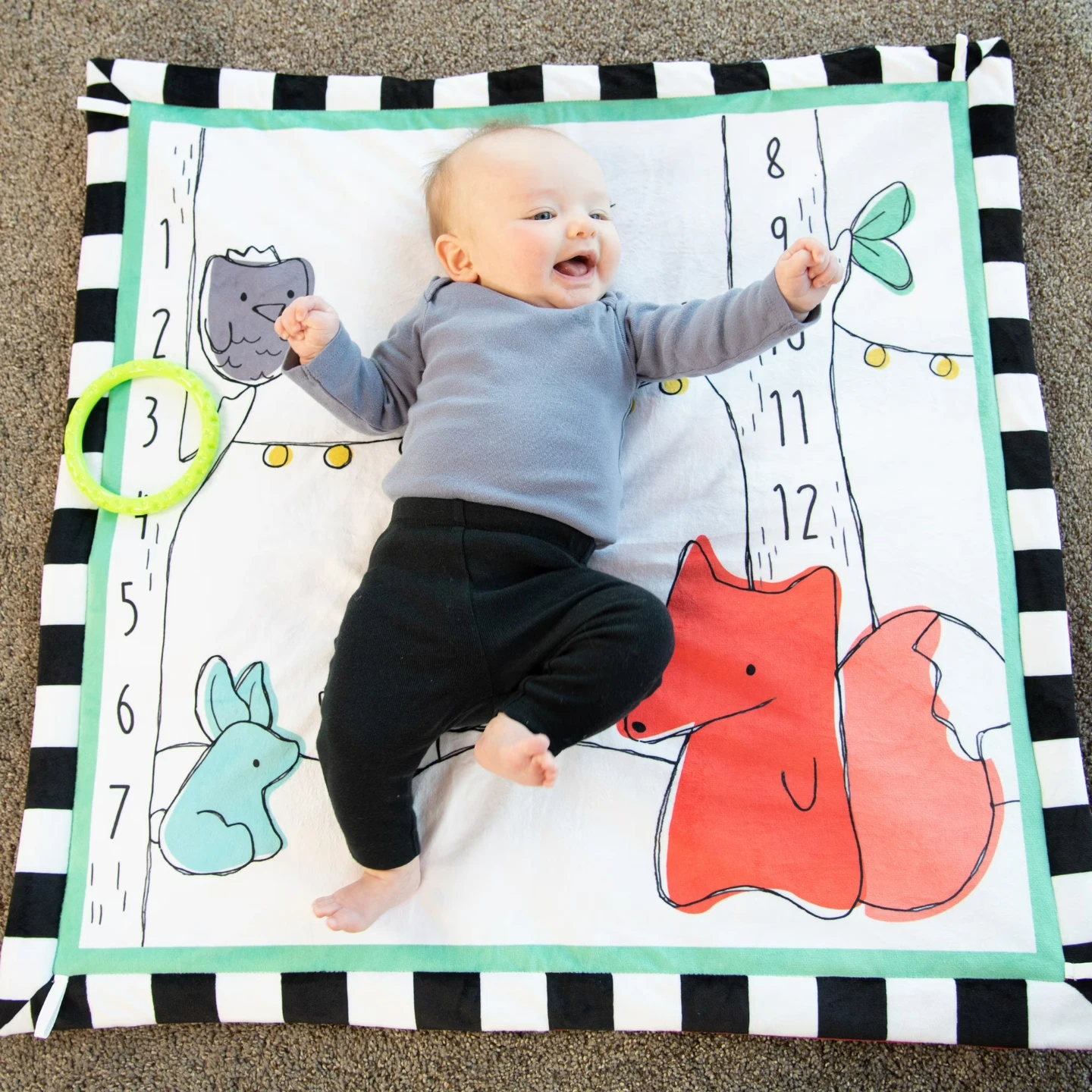 Sassy Gone Camping Grow-Along Gym and Play Mat - photo 5