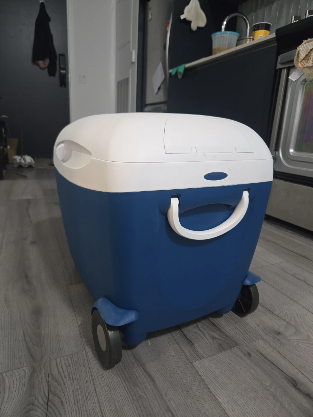 Mobicool Electric Cooler/Warmer