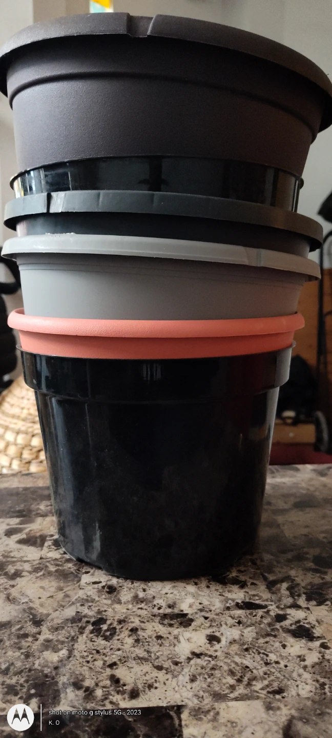 🌱Assorted Plastic Plant Pots