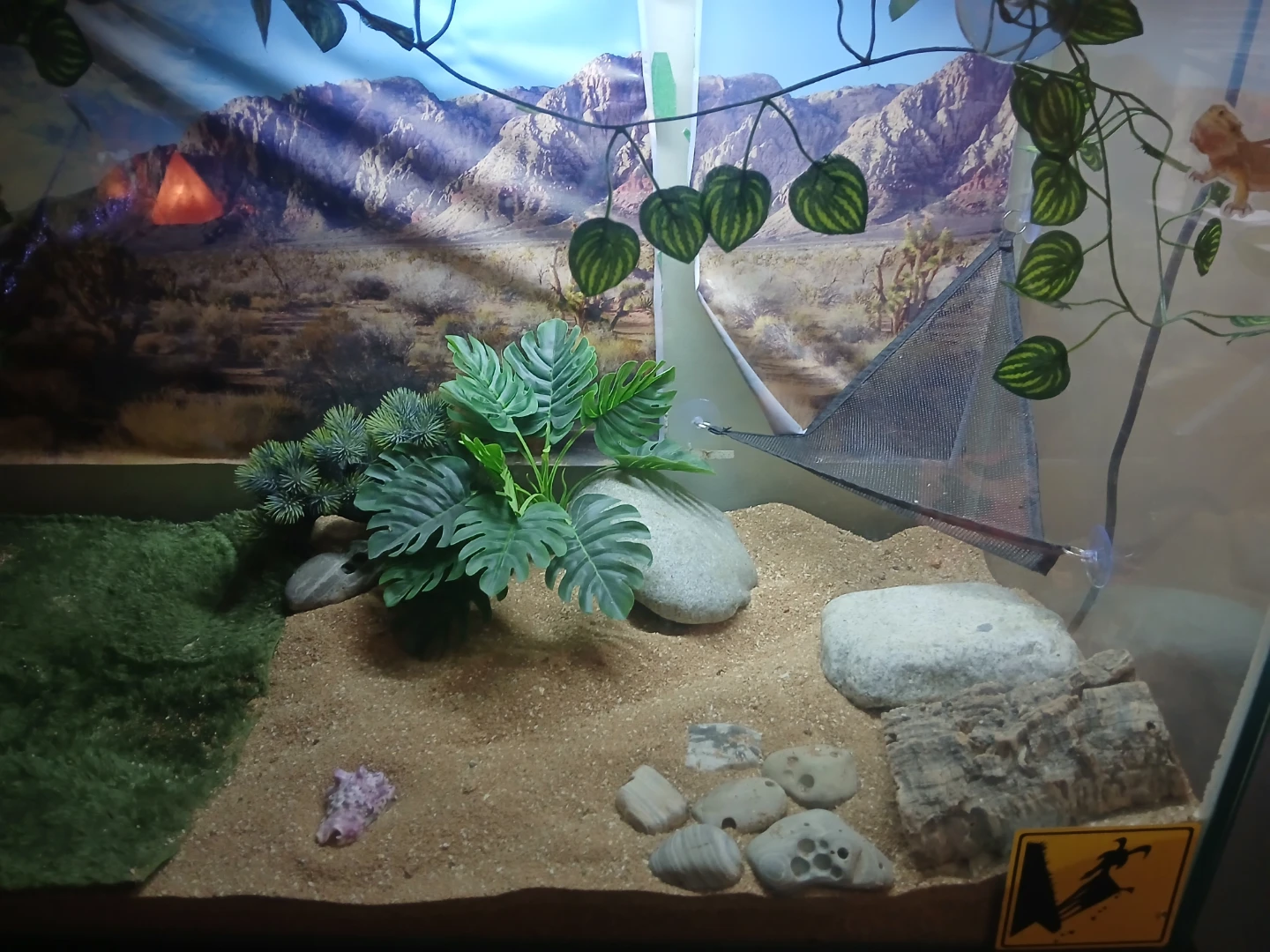 Lizard cage and lights - photo 2