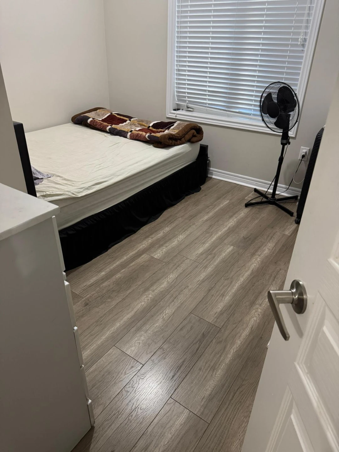 Walkout 1 Bedroom apartment - photo 2