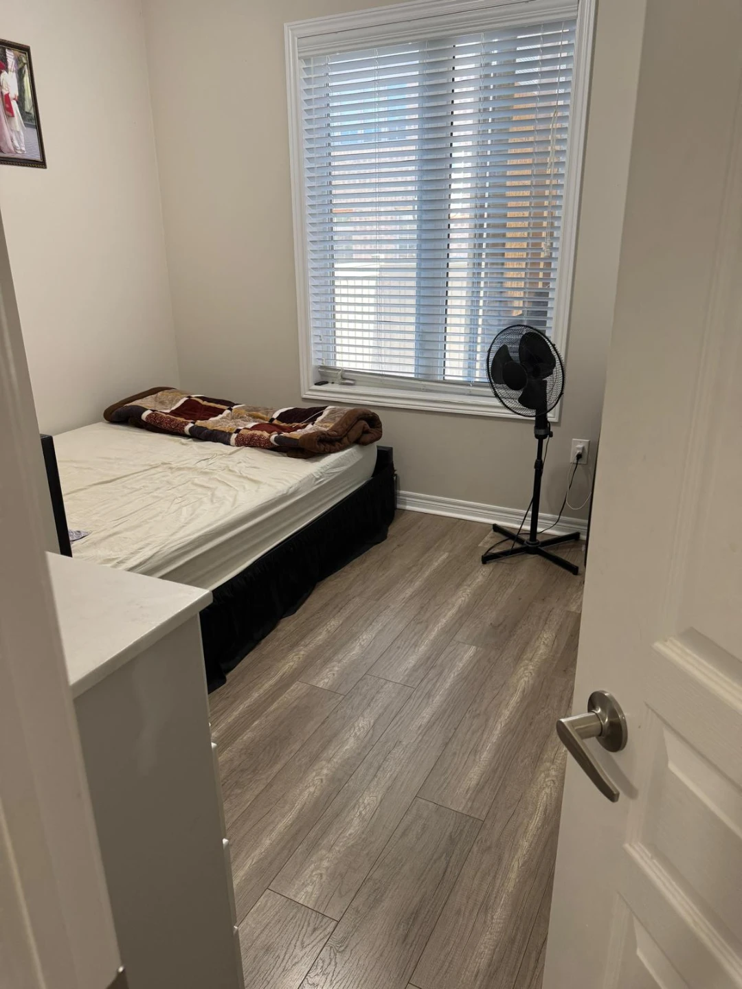 Walkout 1 Bedroom apartment - photo 3