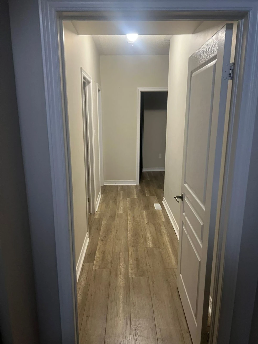 Walkout 1 Bedroom apartment - photo 4