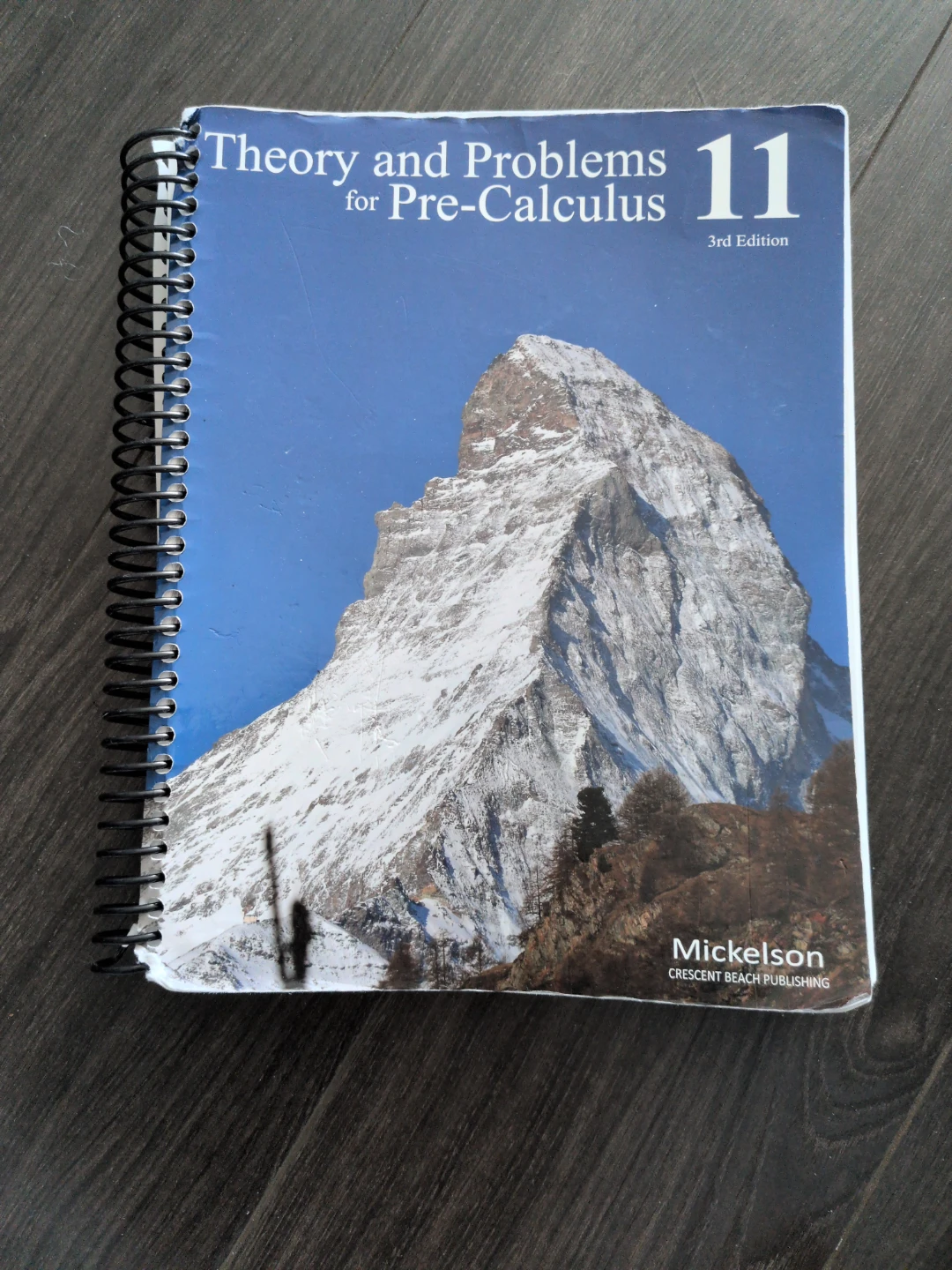 Theory and Problems for Pre-Calculus 11 Textbook