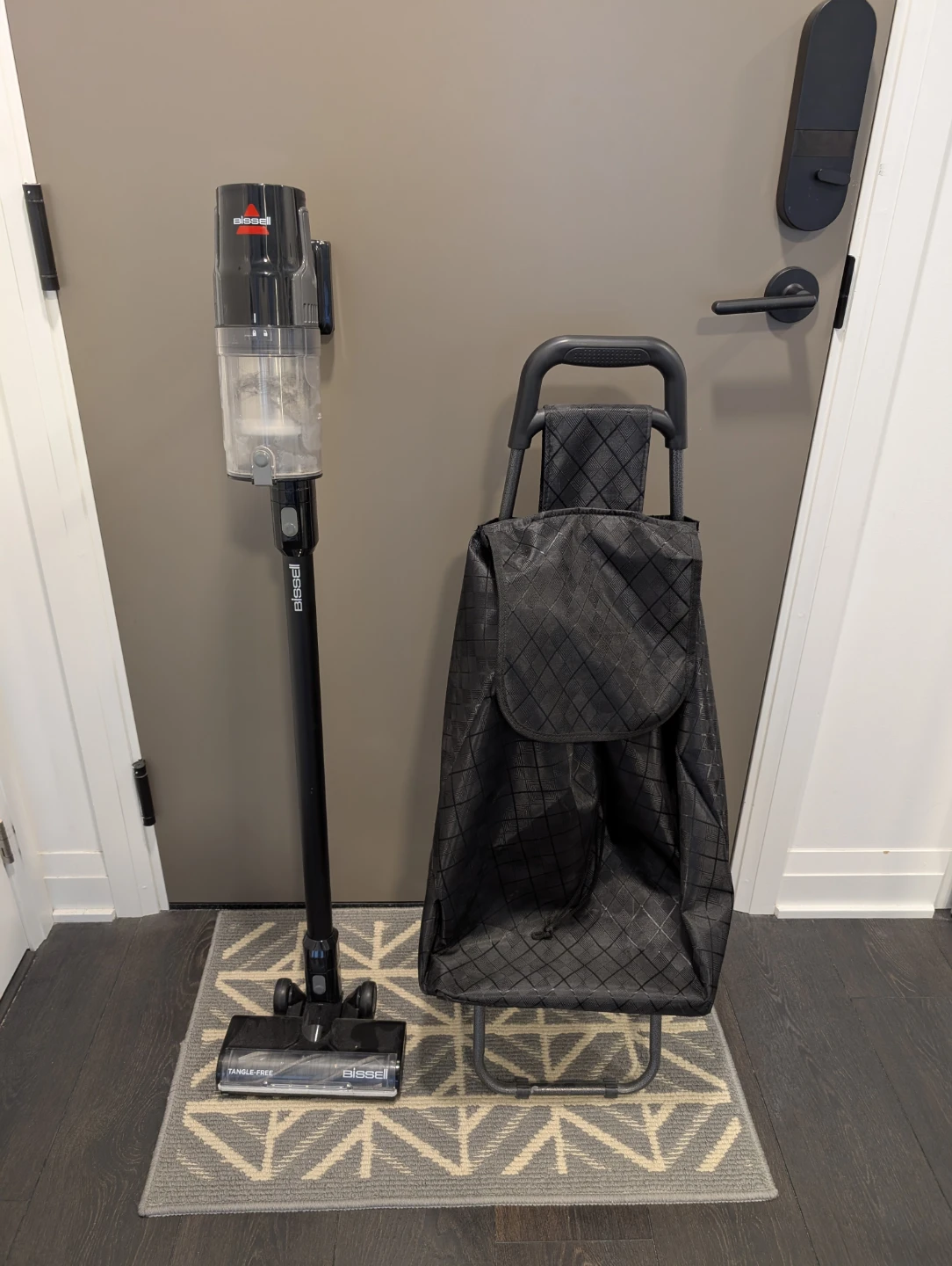 Bissell Cordless Vacuum and Shopping Cart