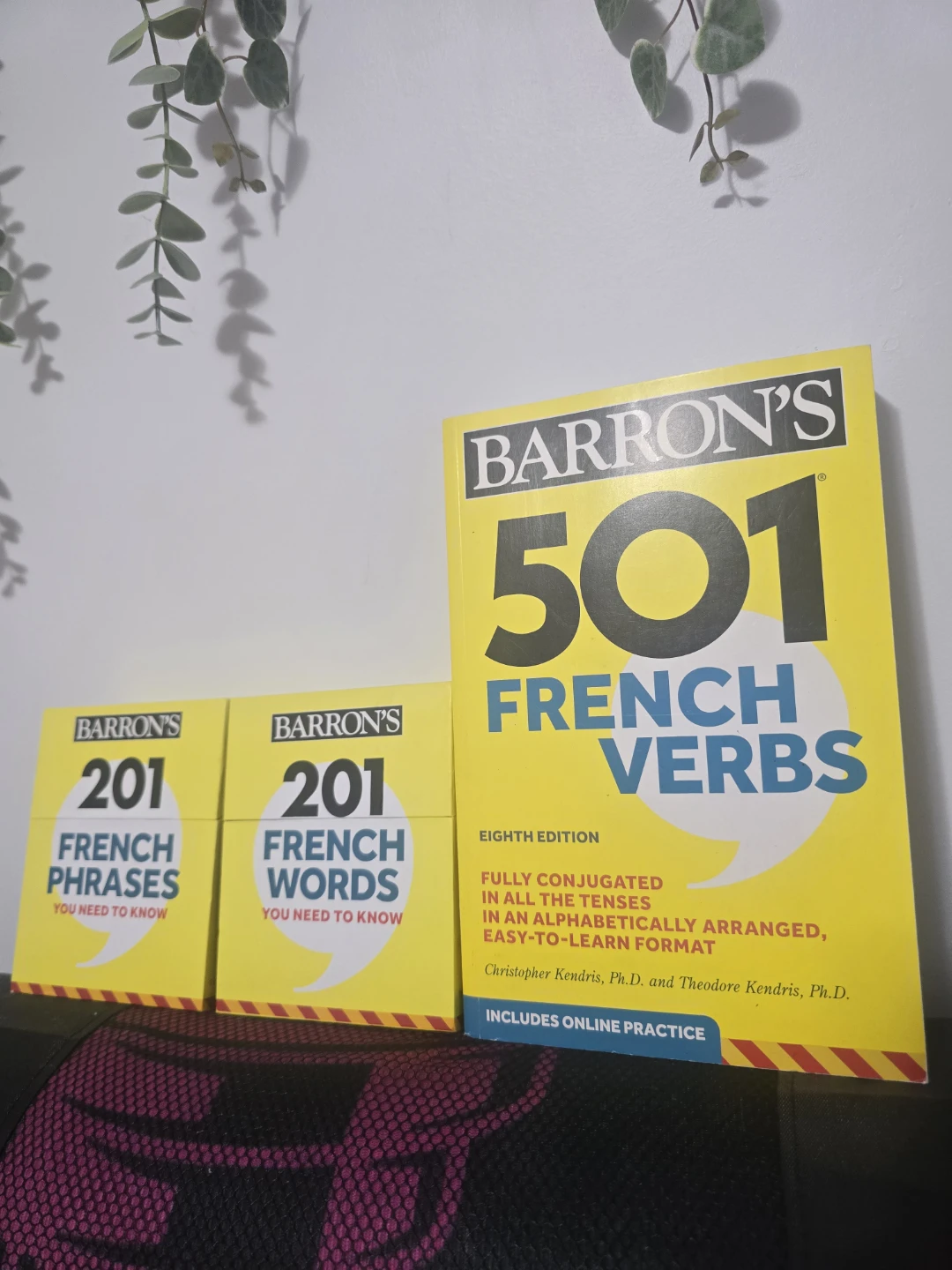 Barron's French Set