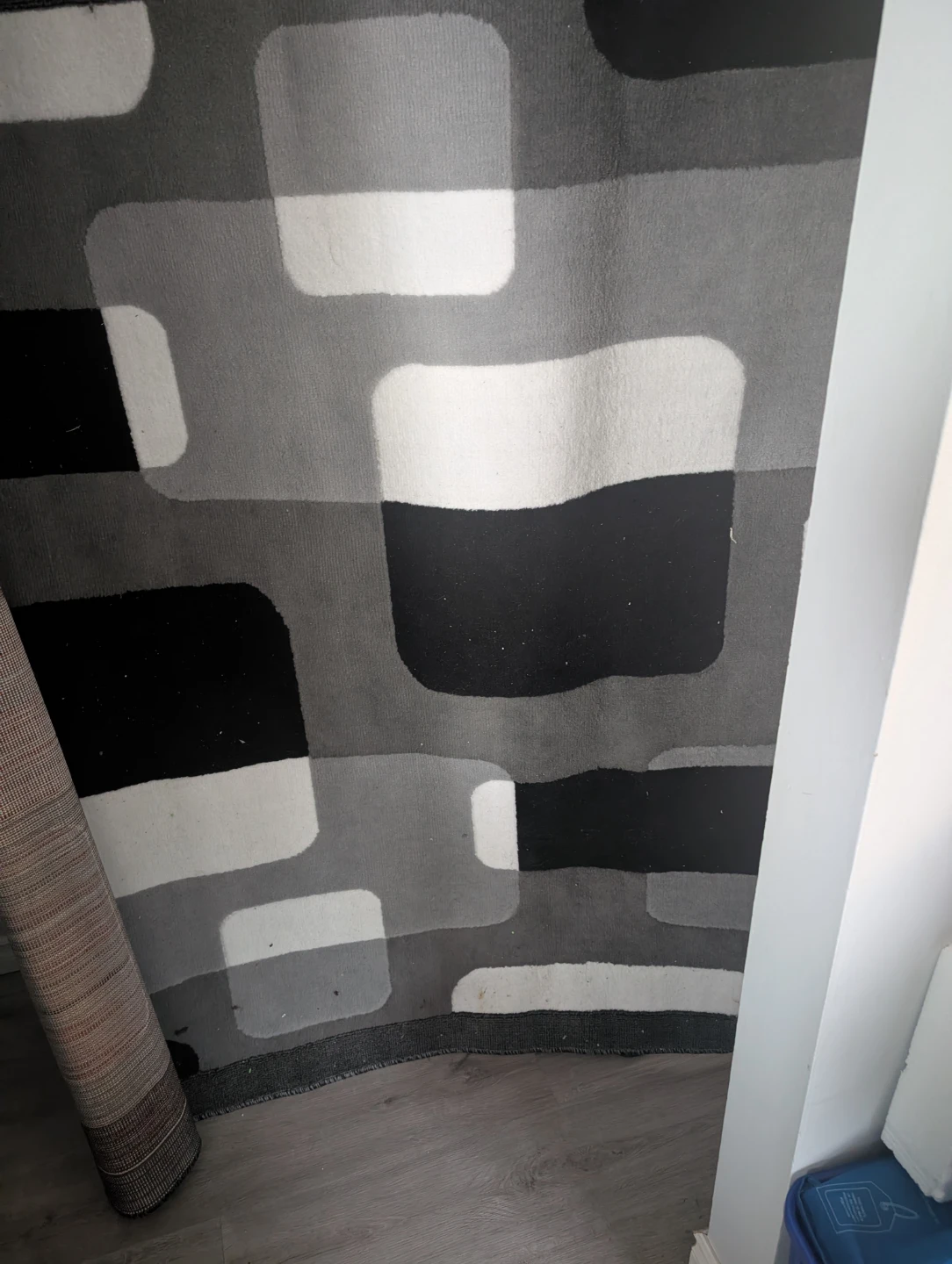 Area Rug