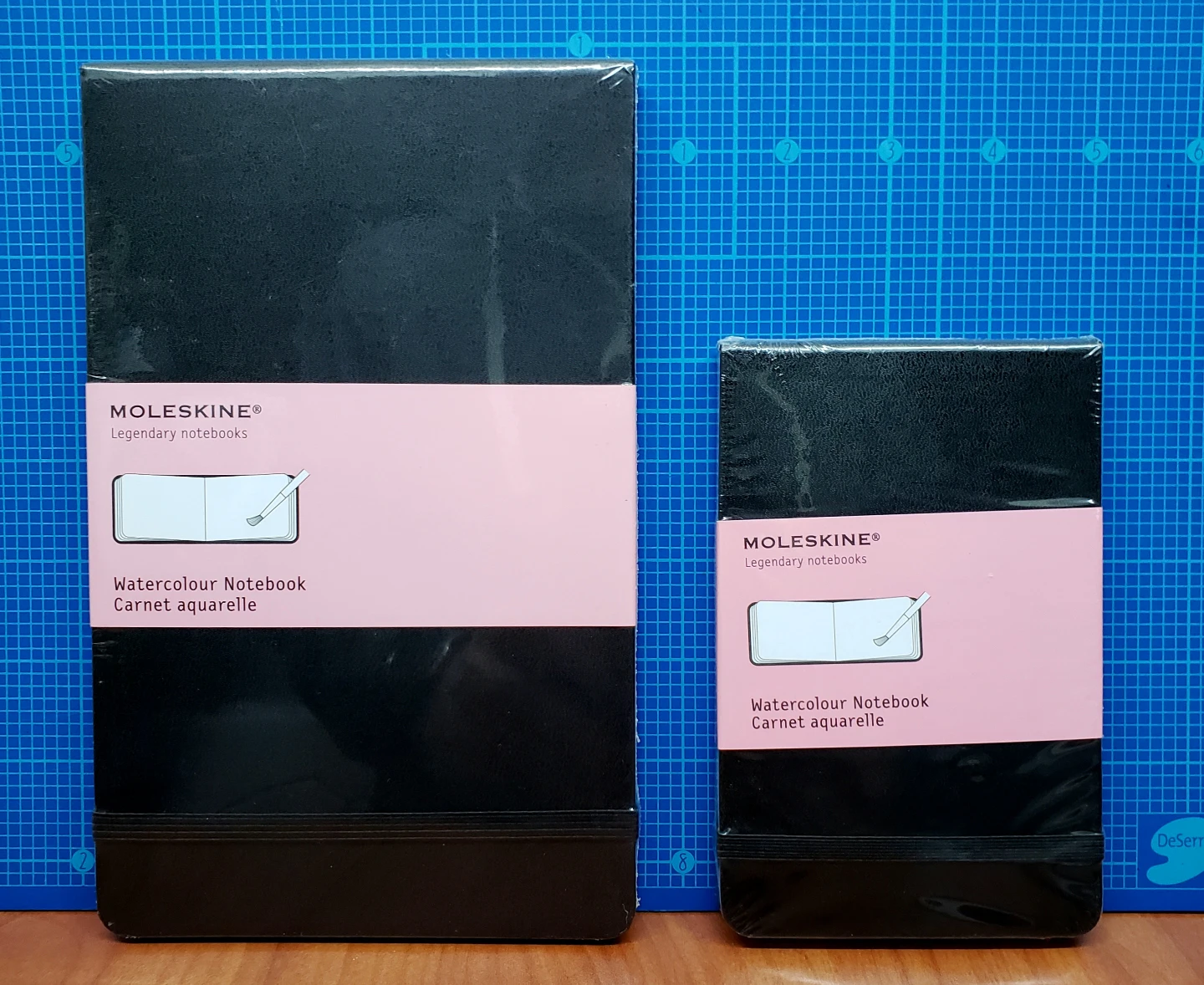 Moleskine Watercolour Notebooks: 21x13cm & 14x9cm