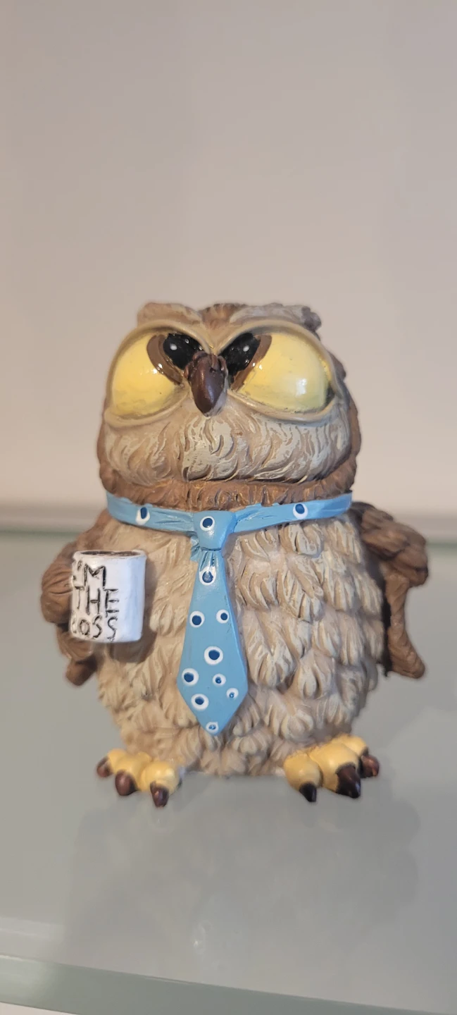 NEW Set of 5 Decorative Owl Figurines - photo 2