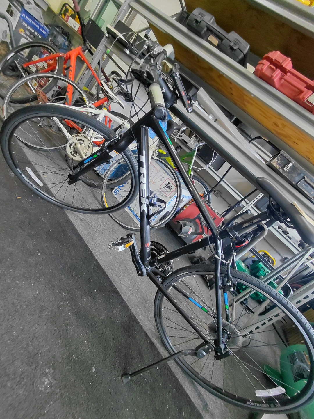 Trek Randonneur Bike
