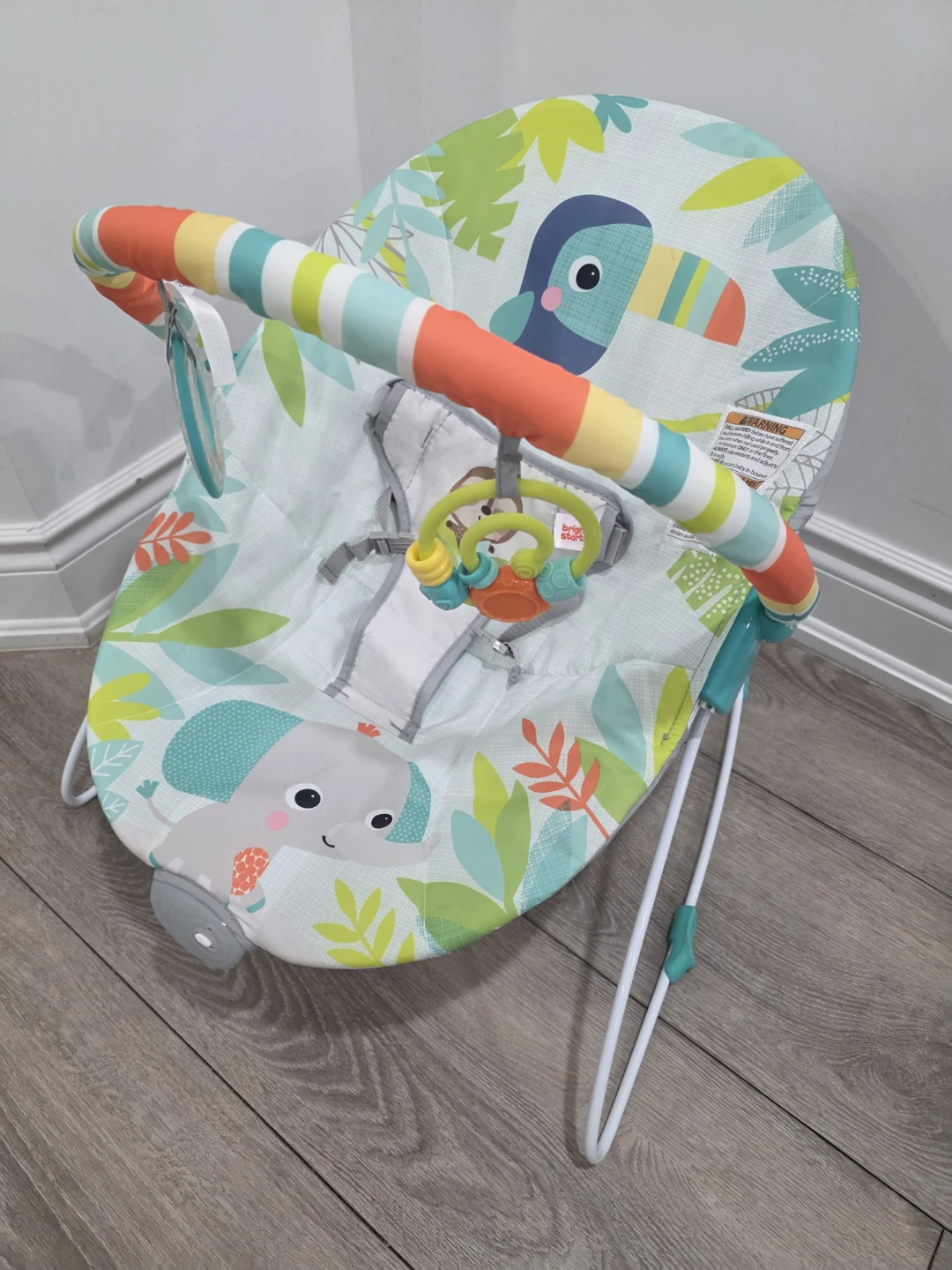 Bright Starts "Jungle Fun" Baby Bouncer
