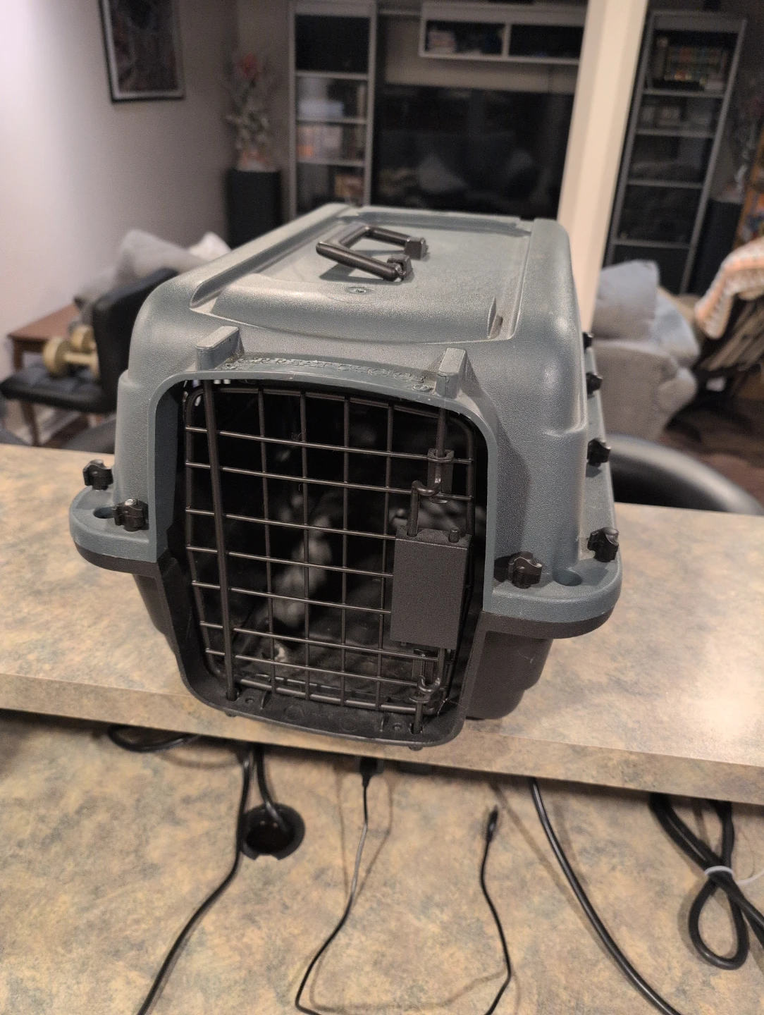 Pet Carrier 20"x12"x10"