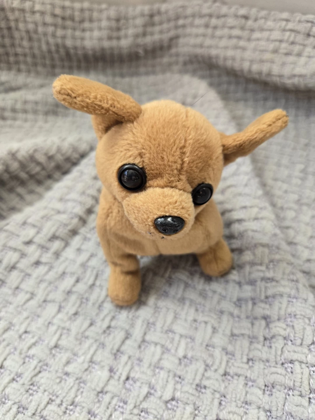 Plush Chihuahua Dog Toy