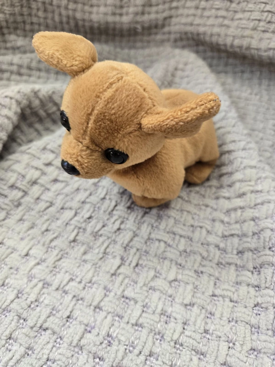 Plush Chihuahua Dog Toy - photo 2