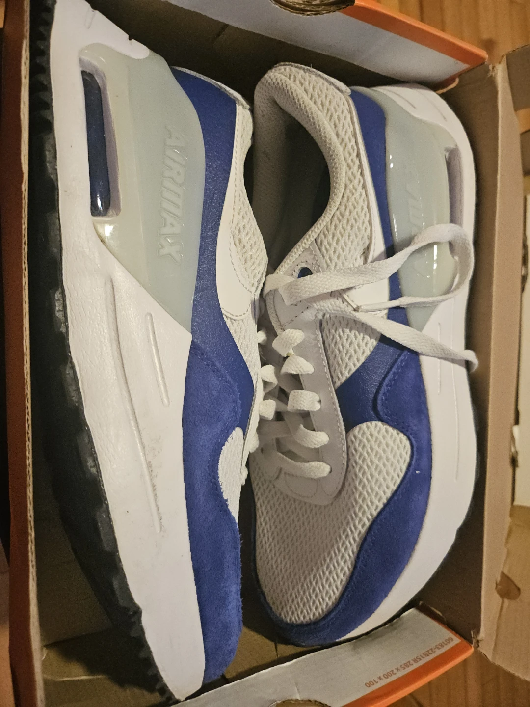 Nike Air Max Running Shoes
