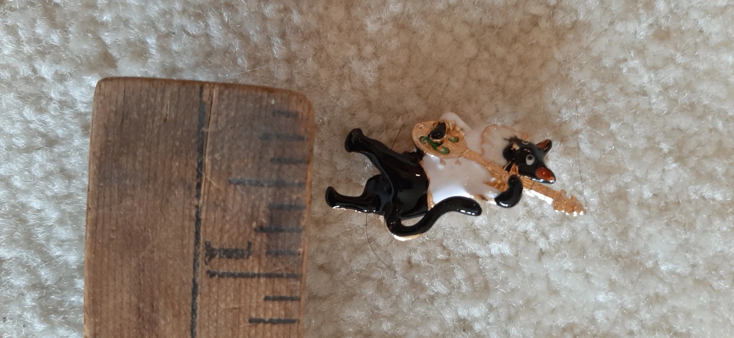 Enamel Cat Pin with Banjo - photo 3
