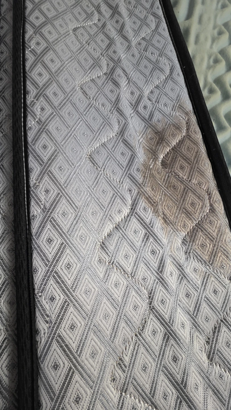 Signature Fine Collection Elegance Firm Mattress - photo 3