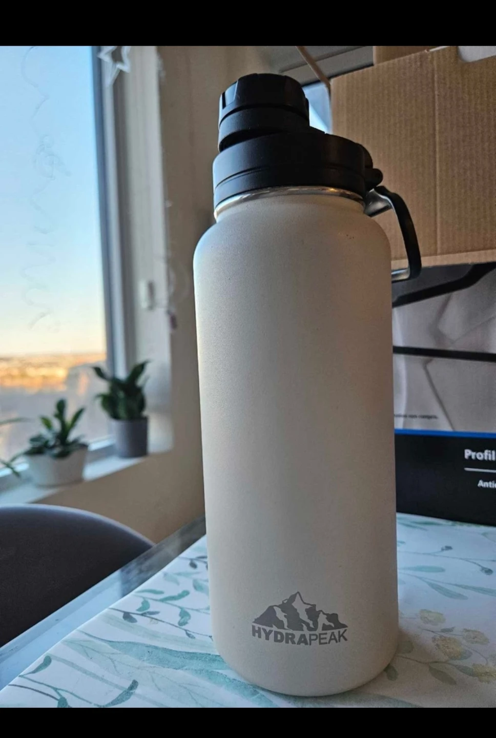 Hydrapeak Water Bottle